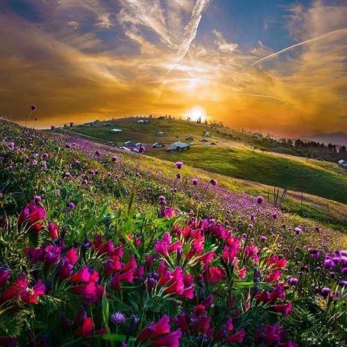 بهنام کمالوند اِ دوسه رسم دوسی مرکِ چنونه و تمو دوس