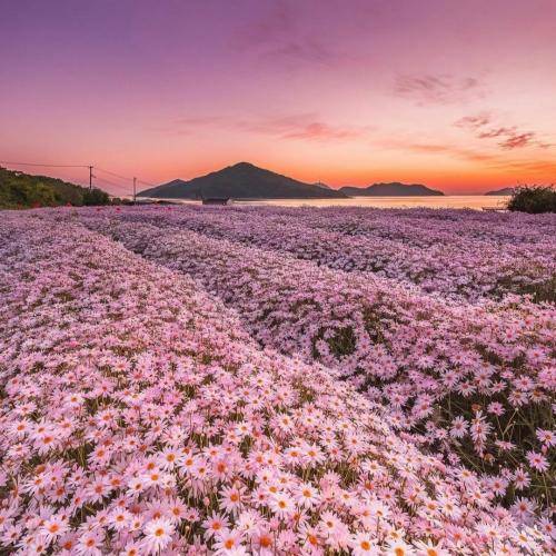 مجید بیرانوند خبر رسی دلت اته مه