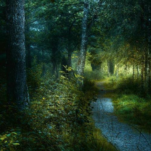 کاکا عزیز سلامتی عشقوم