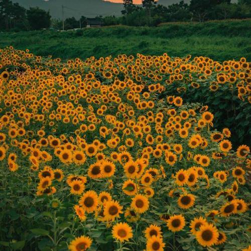  به جهنم میکِشیم خط روی خط ضربدری