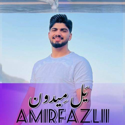 امیر فضلی یل میدون