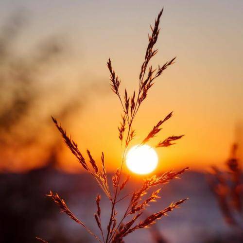 سمیرا کارزان بوک و زاوا