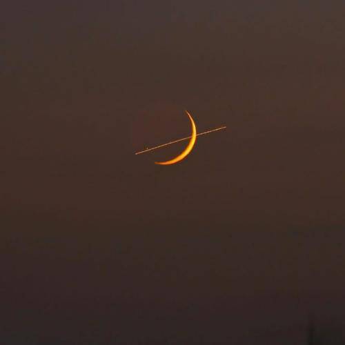 فرشته ارغوانی غریبه یار