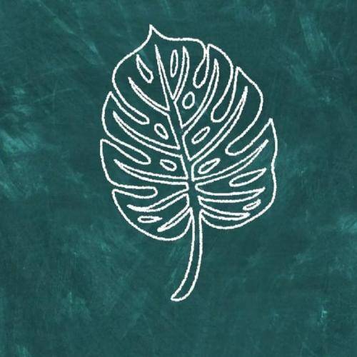 عمران کرشی دباره بخونم عمران کرشی دل خو چش سو