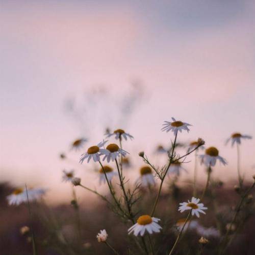 یونس شفیعی وژمه مزانم و بنی بنم