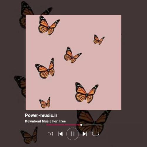 هادی ناصری مستی