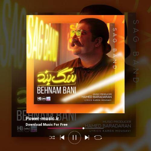 دیجی استاد سگ بند