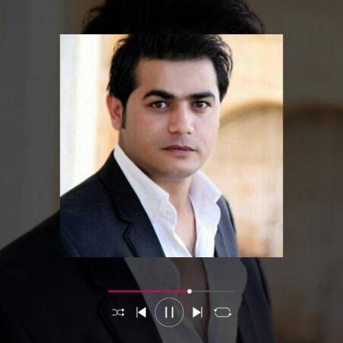 رضا مرادیان لیلی