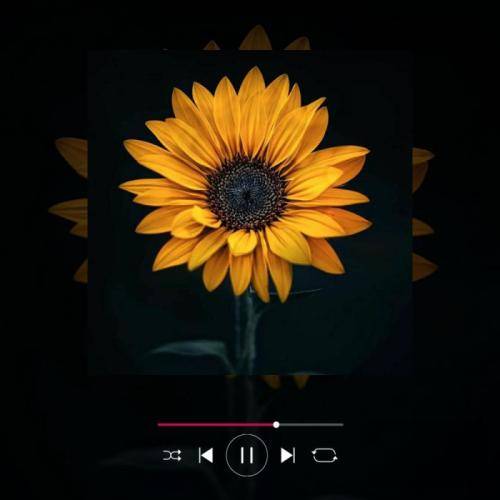 Dark Paradise Lana Del Rey