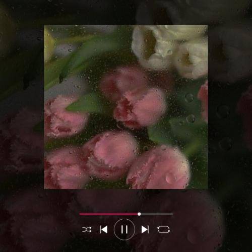 بیتا نابی دشو دیمه خو هایده لای دسم