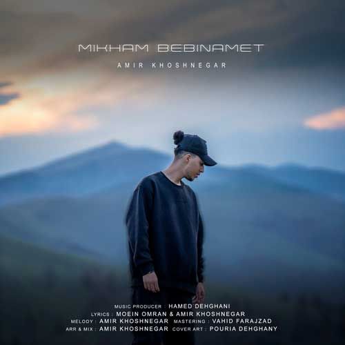 دانلود آهنگ جدید میخوام ببینمت از امیر خوشنگار 