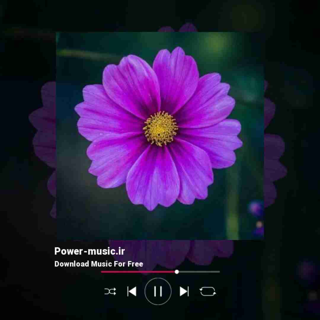 زنگ زدم بهت بگم دیشب خوابتو دیدم