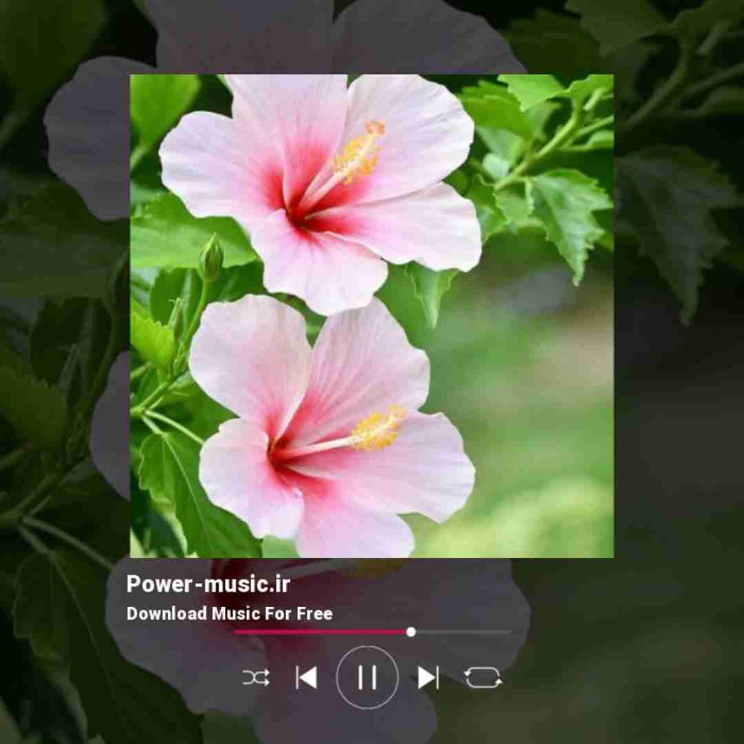 نه میگم برگرد نه میگم اینجا خوبه بی تو