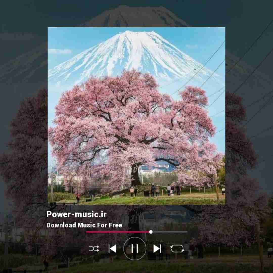 دیجی احمدی قسم