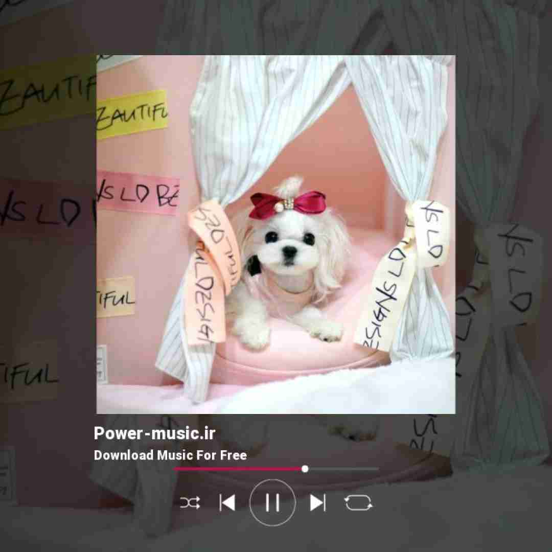 بهم کردن معرفتمو کوفت میکنم پیشونی سگمو بوس