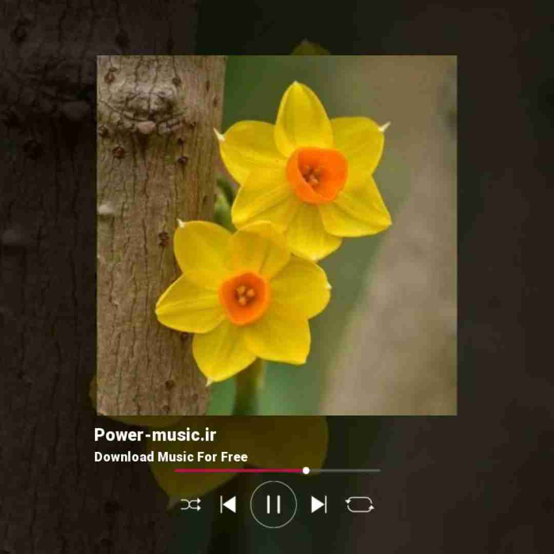 کم حرف تر از همیشه هفت پشت غریبه