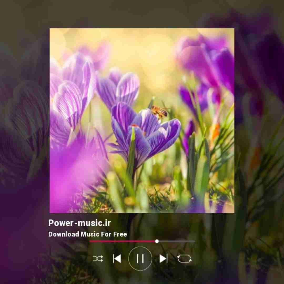 الان که دیدی یه طوری شده هر چی دیدی