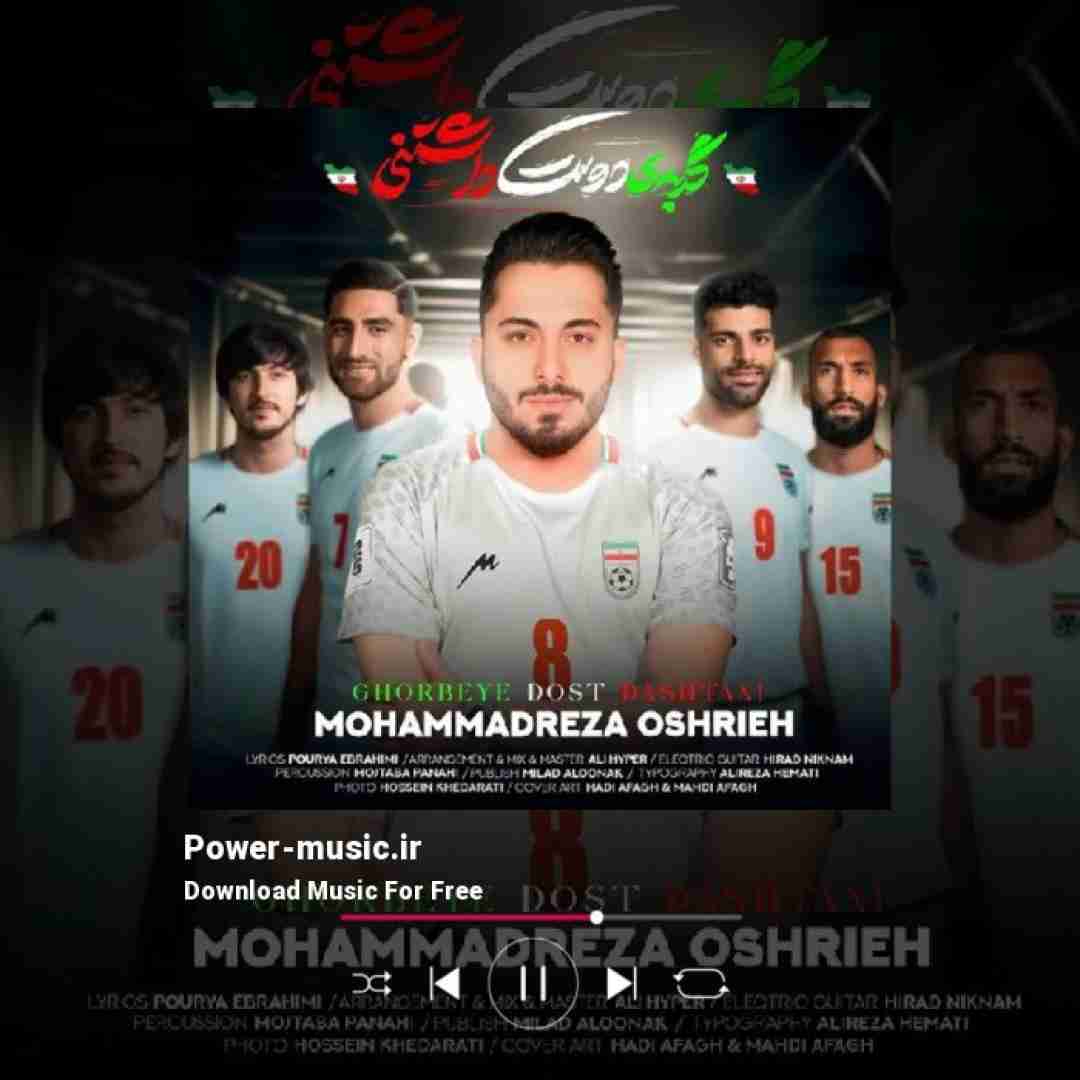 محمدرضا عشریه گربه ی دوست داشتنی