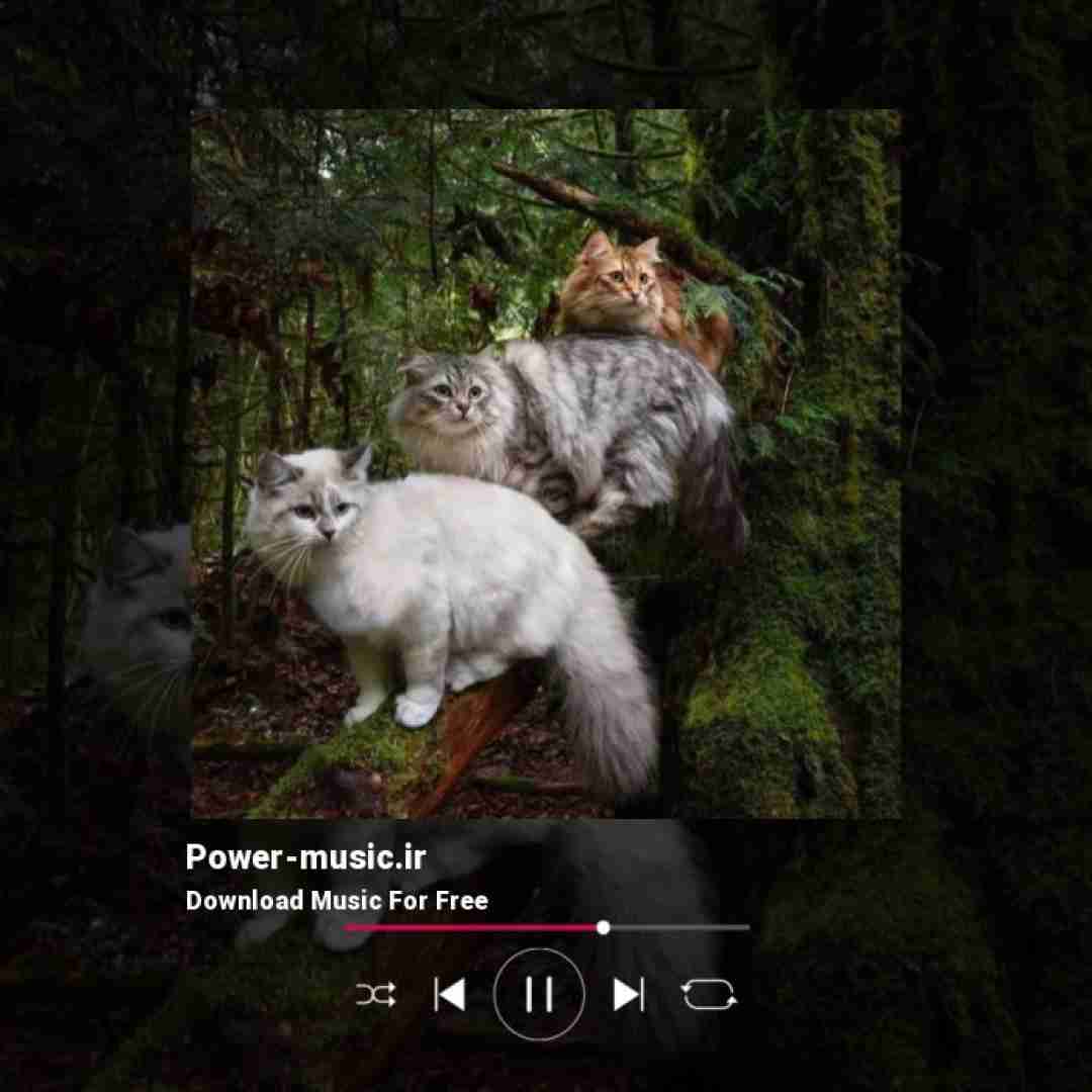  دل من هواتو کرده کاش الان بغلم بودی