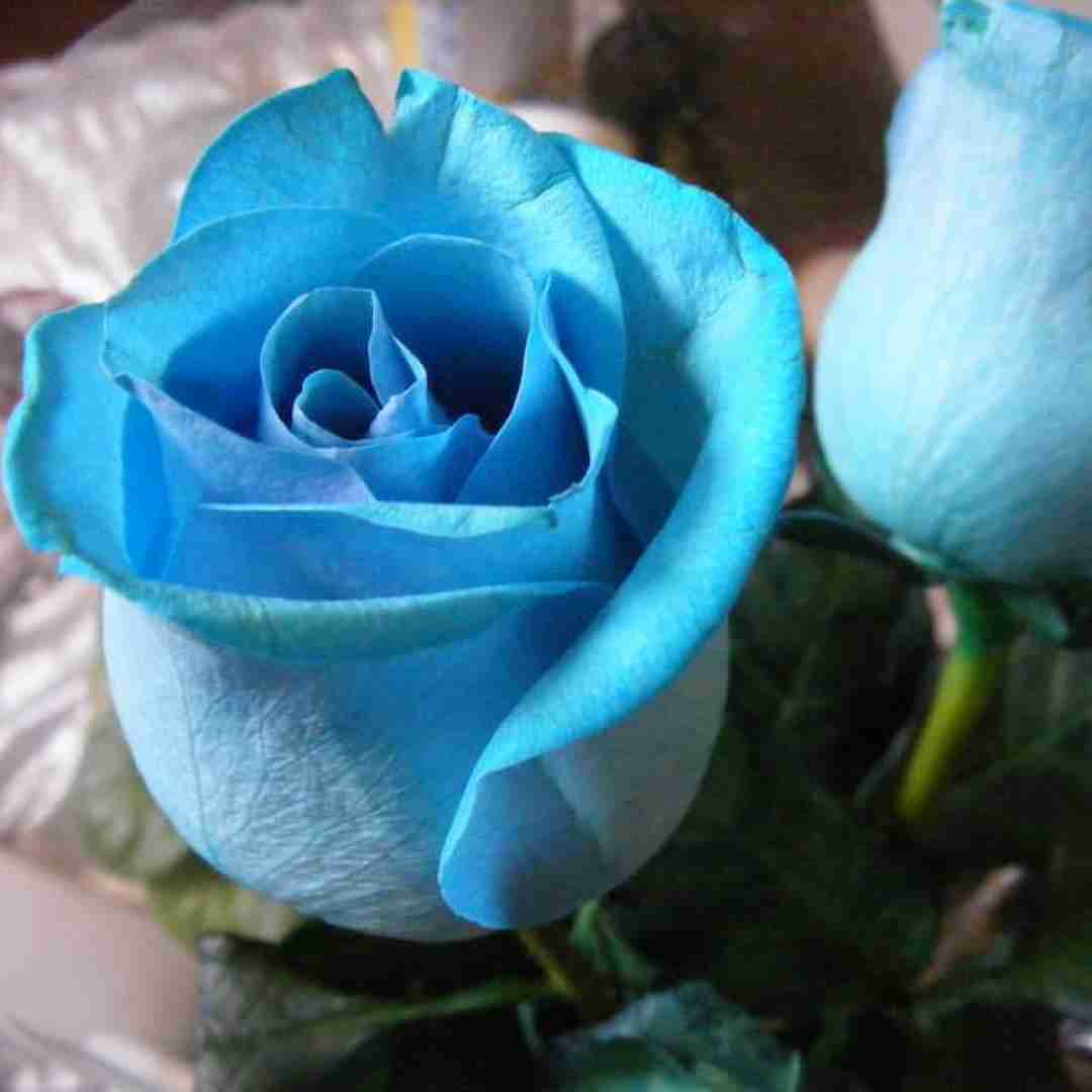 نازی نازی نازی به خوشگلیت مینازی با صدای زن