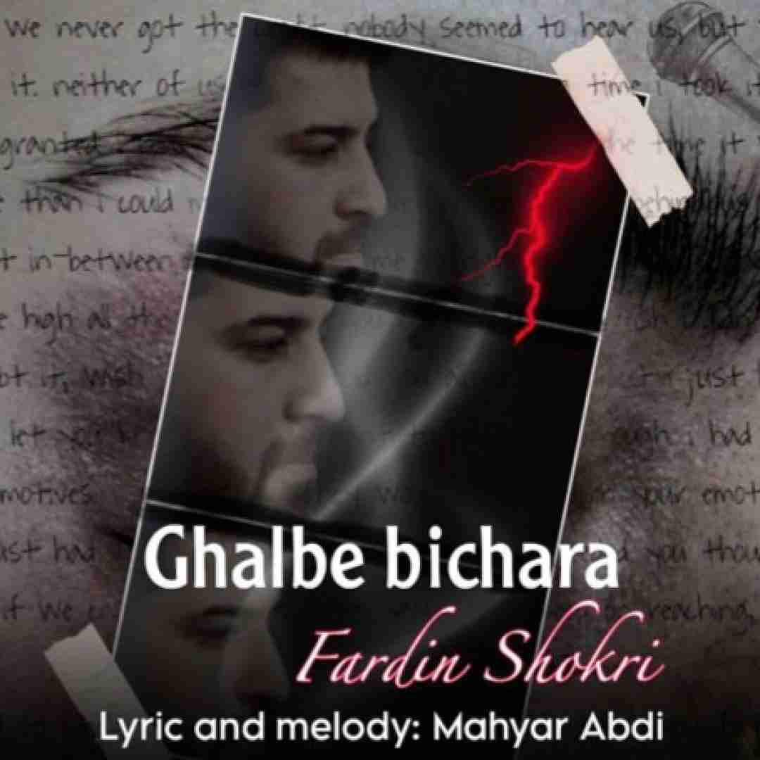 فردین شکری قلب بیچاره