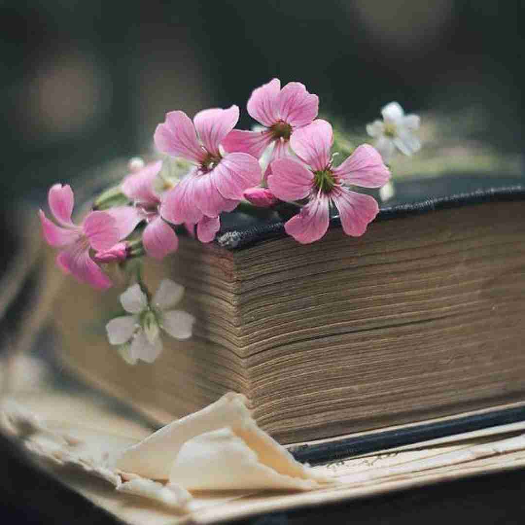 بابا به به به این حال به این سال بیشتر از همه کار میکنم