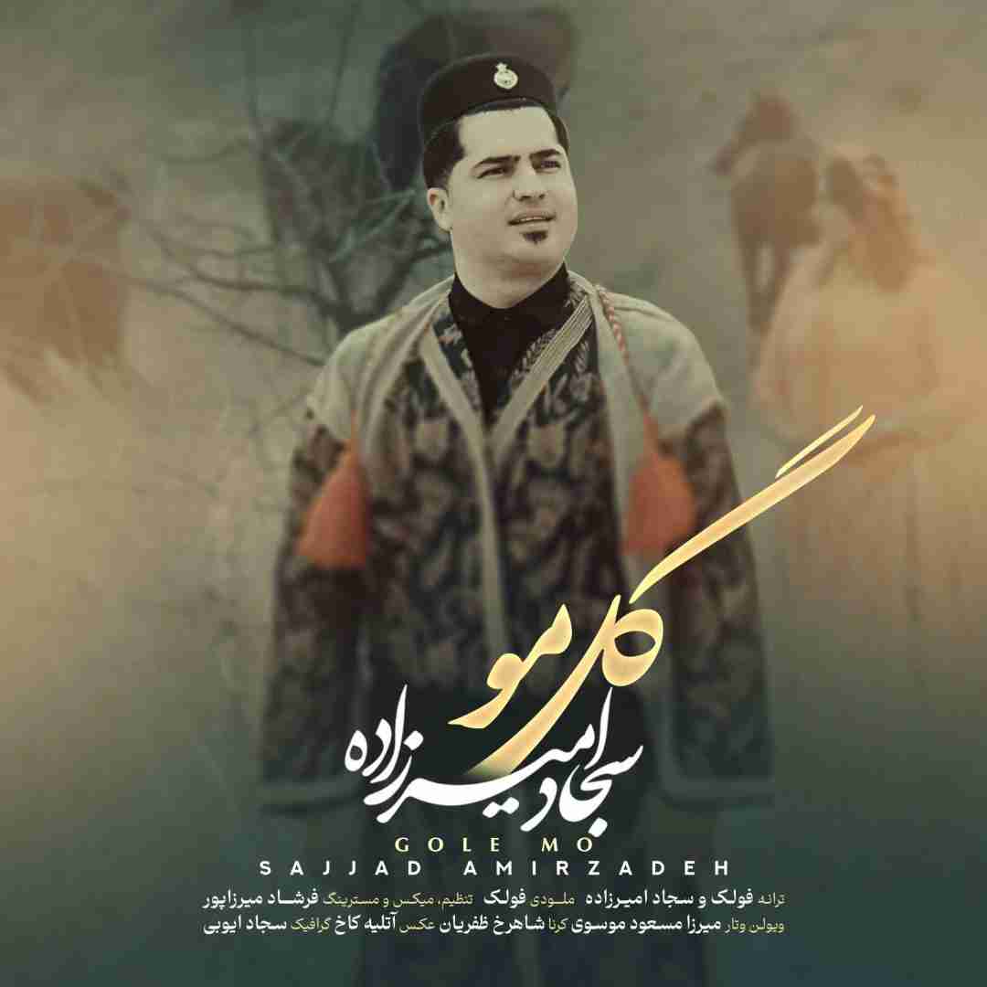 سجاد امیرزاده گل مو