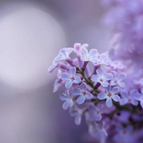 خوش میگذره بله این بشه بشه بندره