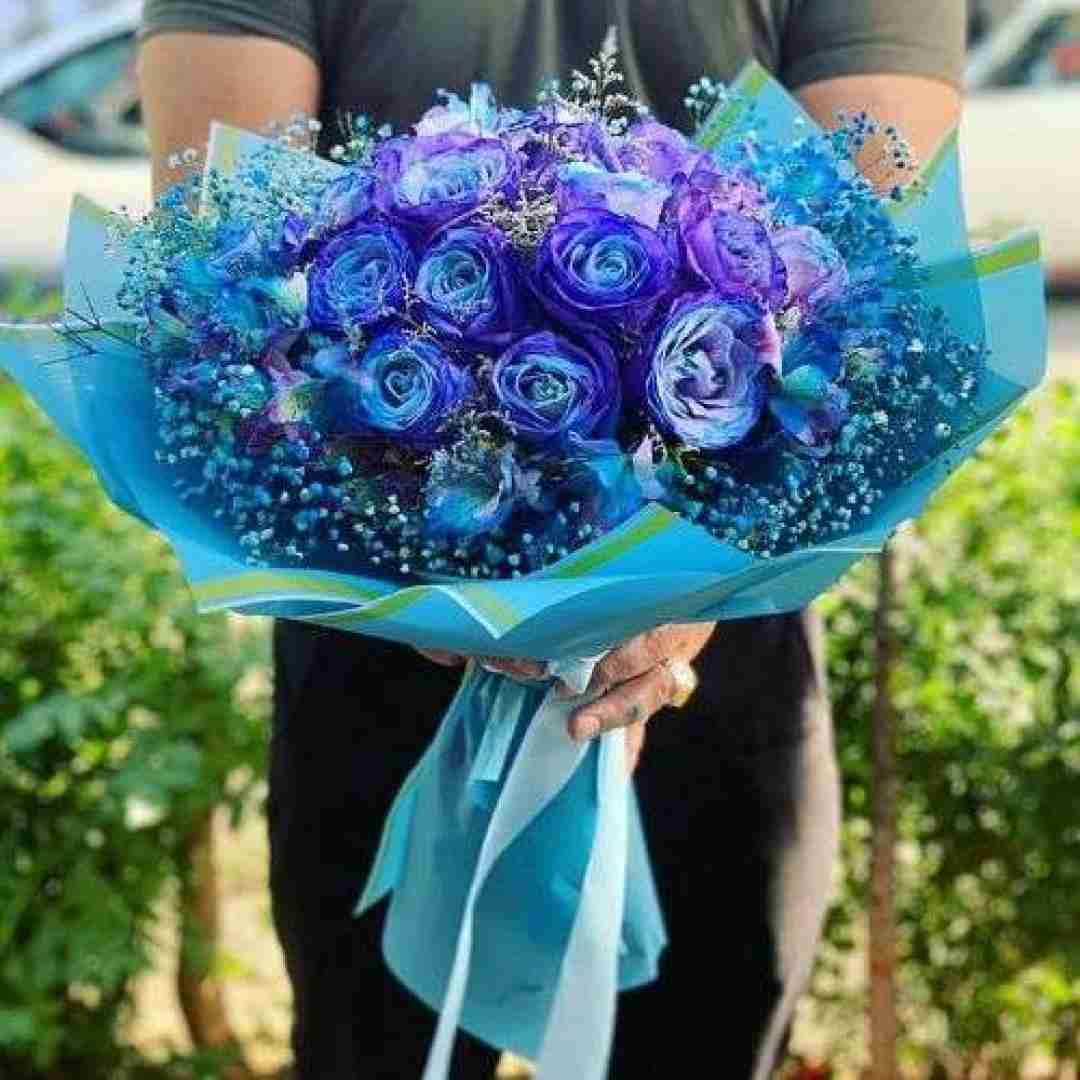 جدی می فرمایید ورژن اینستایی