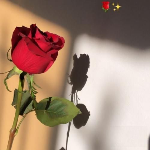 نمیشه رفته باشه واسه همیشه سرباز و سربار شاد بوده من اونجا بودم