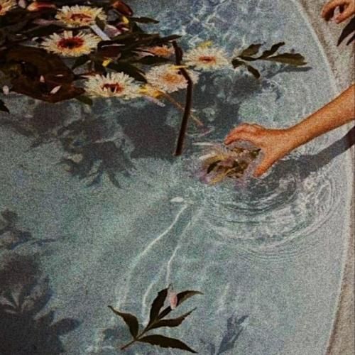 شدی با مه غریبه هر شب منو دلتنگی هام