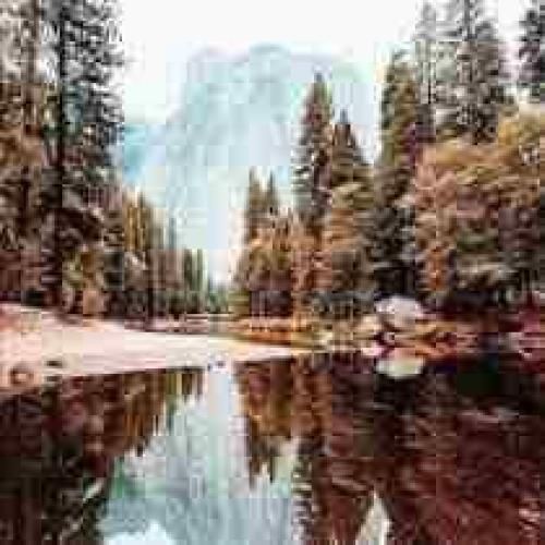 مخو سوراخ میکنه حفاری عوضی مغز منه