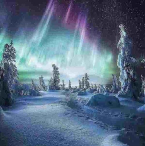 امیر قزوینی حالم خرابه