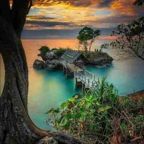 الان یه سالو یه ماهو یه روزه دلتنگتم