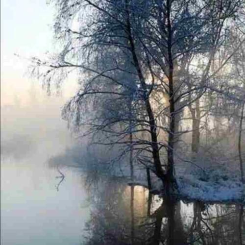 علی زارعی هم اتاقی برس به دادم قدیمی