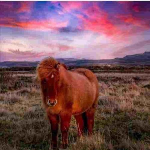 اصن آشوب به پا کن بیبی این سیگار بهمن مارو ندیدی