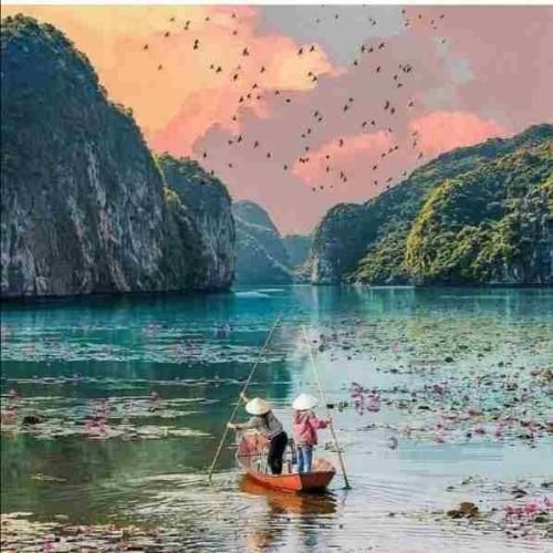 قلبمو که گفتم مال توعه دختر اوج میگرفتم به سمت تو