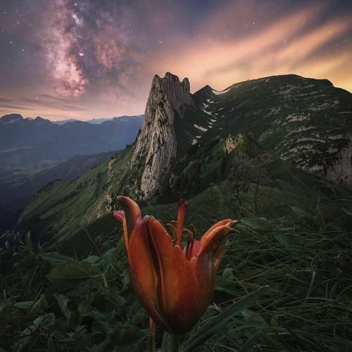 گفتم بعد از تو دیوونه میشم باور نکردی با صدای دختر