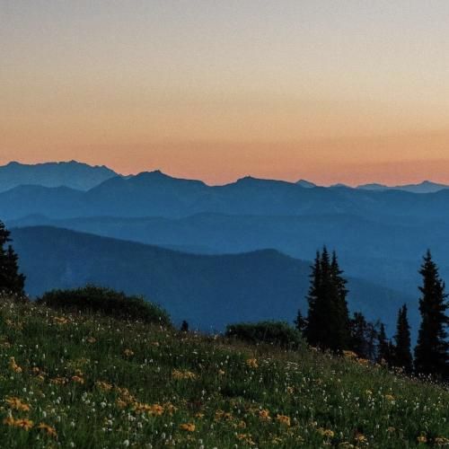 کولر آبی دیگه جواب نمیده میپرسی چرا