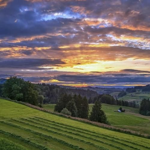 هنوز مثل قدیم بدون خط کشی موندی