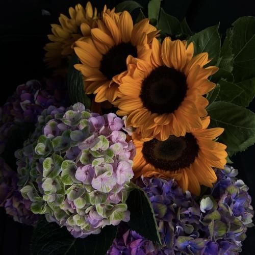 کینه دارم از همه شتری بوس و بغل کوپنی