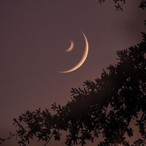 دای زری زری پاوردار بو بو بو بو – ترند اینستا