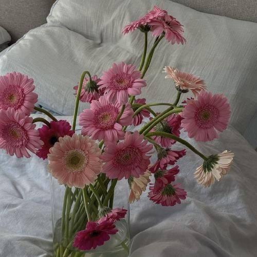 روی چشمام قدمته کلی عشق از من طلبته با صدای زن