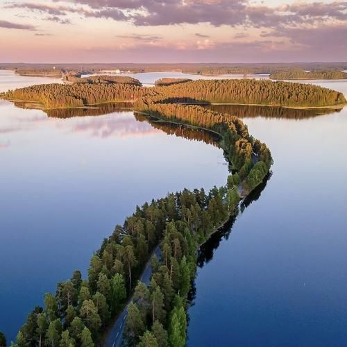 تف به قوم پدری لعنت به قوم مادری - اینستایی