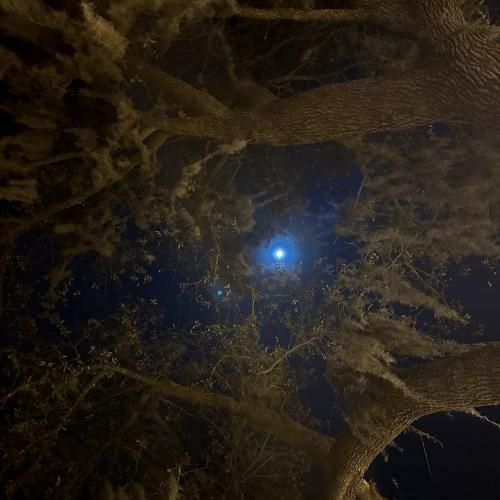 من خودمو میخوام لطفا نکن دورمو سیاه من برای