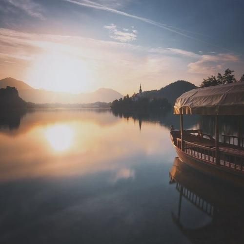 پرس سینه اسکات سر شونه سیب زمینی - اینستایی