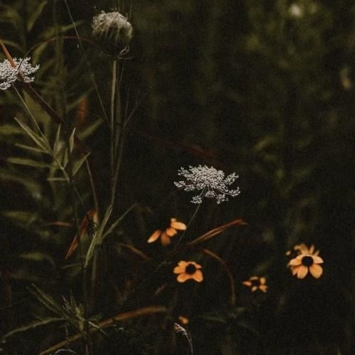 کنیزو کنیزو جمالش قشنگه کنیز قد بلنده کنیز