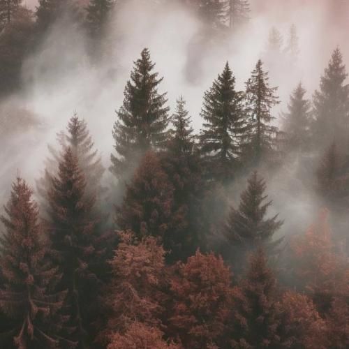 باورم نمیشه شده بیستو یک سالم با صدای دختر اینستایی