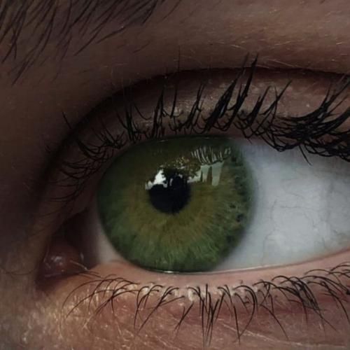 کرد طبیعت پرپر گلمو دیگه نمیشناسم خودمو صدای پسر