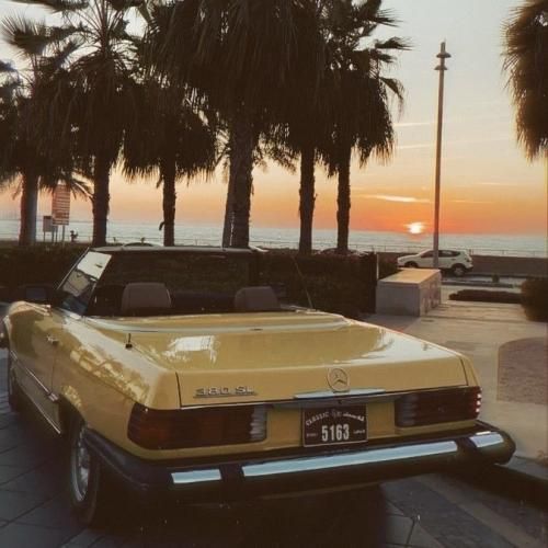 محفل بودیم با گاندی - ورژن اینستایی